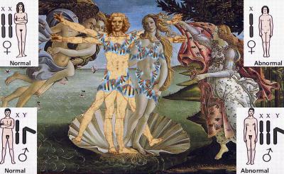  This image (though open to interpretation!) is meant to show the imprisonment of identity by DNA. Venus and the Vitruvian man embody societal ideologies of what women and men look like, respectively. The four images in the corners are textbook images to teach genetics students about what is “normal” and “abnormal”, in terms of sex chromosomes. These are the only four possibilities explored, although other combinations are not lethal. The supposed telltale sexual identifying features of the bodies – the genitalia of the “man” and “woman” -- are obstructed by strands of DNA.  &#160;